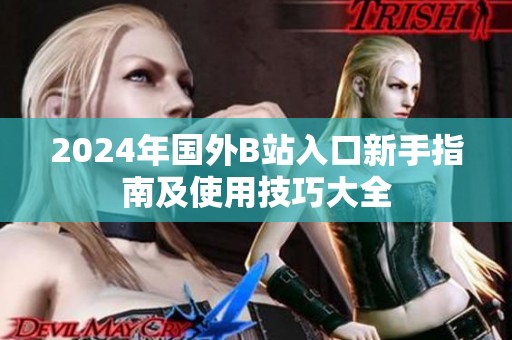 2024年国外B站入口新手指南及使用技巧大全