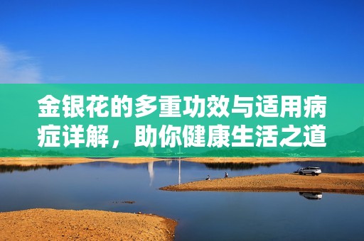 金银花的多重功效与适用病症详解，助你健康生活之道