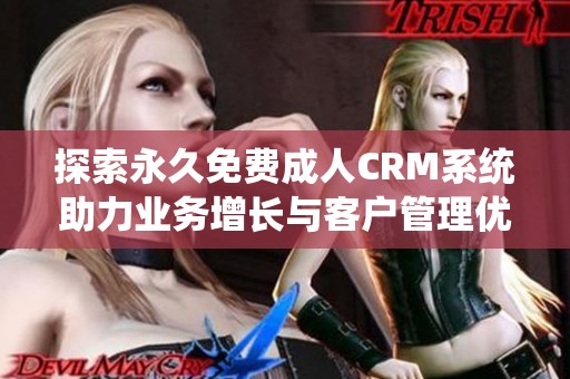 探索永久免费成人CRM系统助力业务增长与客户管理优化