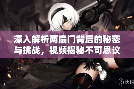 深入解析两扇门背后的秘密与挑战，视频揭秘不可思议的事物