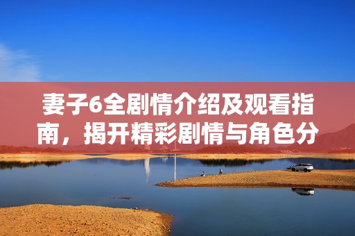 妻子6全剧情介绍及观看指南，揭开精彩剧情与角色分析