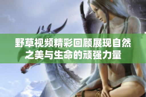野草视频精彩回顾展现自然之美与生命的顽强力量