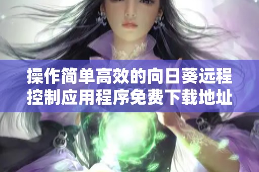 操作简单高效的向日葵远程控制应用程序免费下载地址分享