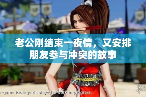 老公刚结束一夜情，又安排朋友参与冲突的故事