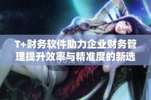 T+财务软件助力企业财务管理提升效率与精准度的新选择