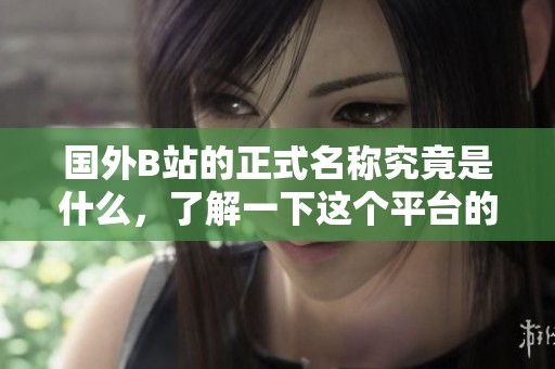 国外B站的正式名称究竟是什么，了解一下这个平台的全称
