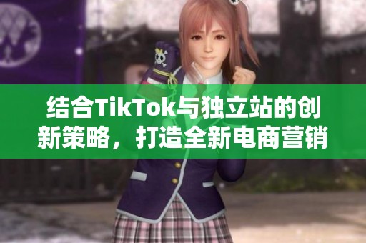 结合TikTok与独立站的创新策略，打造全新电商营销模式