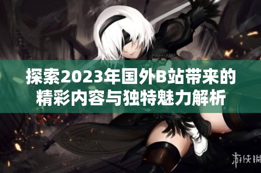 探索2023年国外B站带来的精彩内容与独特魅力解析