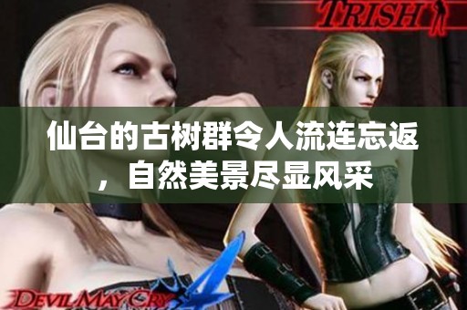 仙台的古树群令人流连忘返，自然美景尽显风采