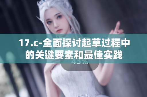 17.c-全面探讨起草过程中的关键要素和最佳实践