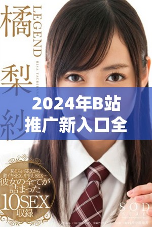2024年B站推广新入口全面解析，助你轻松获取流量与曝光