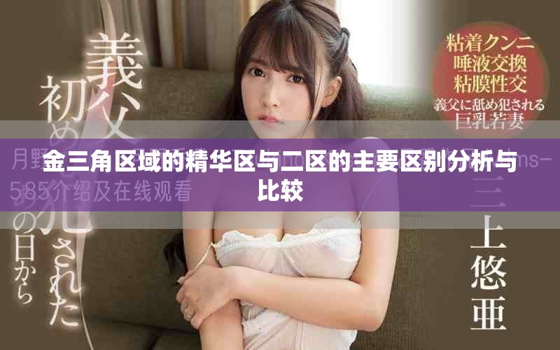 金三角区域的精华区与二区的主要区别分析与比较