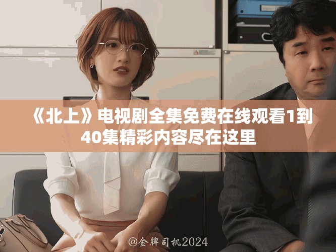 《北上》电视剧全集免费在线观看1到40集精彩内容尽在这里
