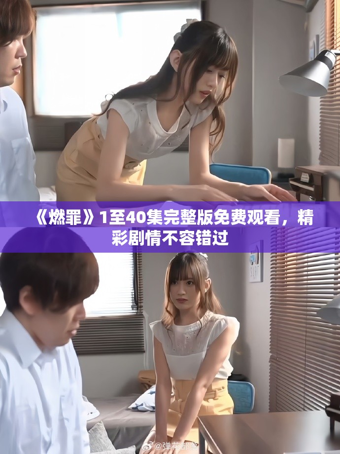 《燃罪》1至40集完整版免费观看，精彩剧情不容错过