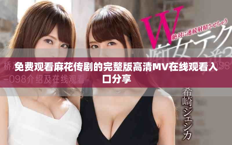 免费观看麻花传剧的完整版高清MV在线观看入口分享