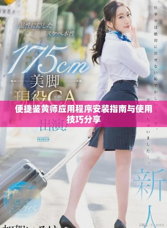 便捷鉴黄师应用程序安装指南与使用技巧分享