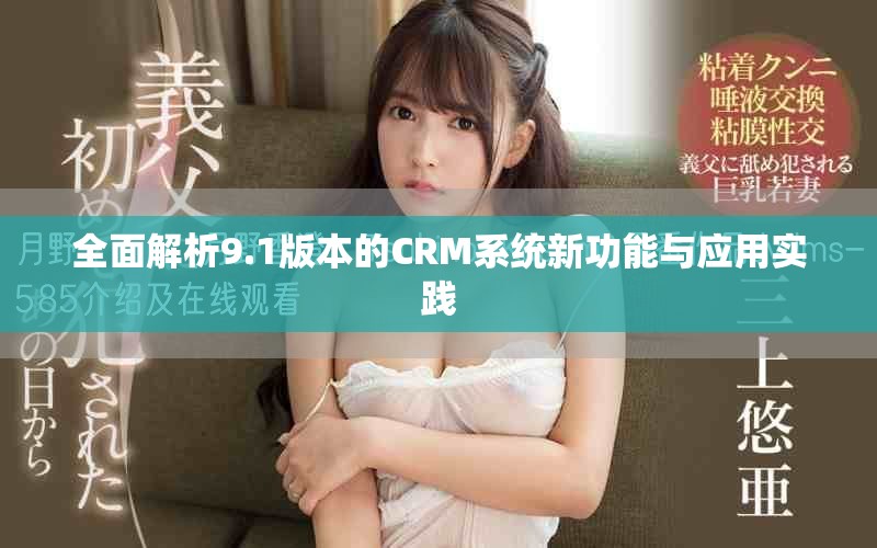 全面解析9.1版本的CRM系统新功能与应用实践