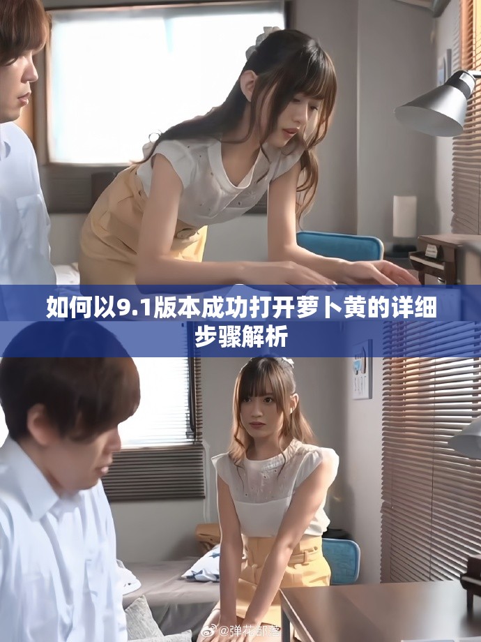 如何以9.1版本成功打开萝卜黄的详细步骤解析