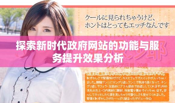 探索新时代政府网站的功能与服务提升效果分析