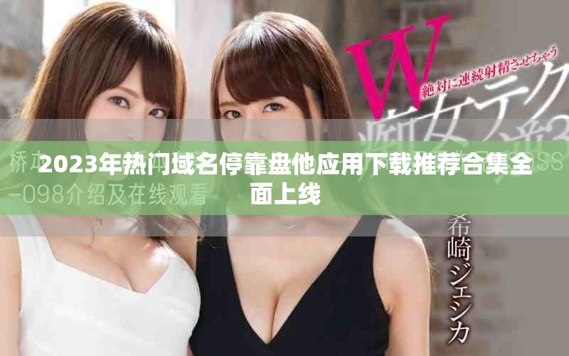 2023年热门域名停靠盘他应用下载推荐合集全面上线