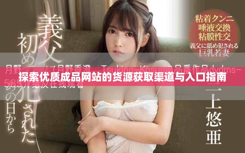 探索优质成品网站的货源获取渠道与入口指南