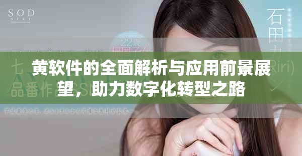 黄软件的全面解析与应用前景展望，助力数字化转型之路