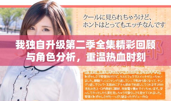 我独自升级第二季全集精彩回顾与角色分析，重温热血时刻
