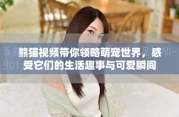 熊猫视频带你领略萌宠世界，感受它们的生活趣事与可爱瞬间