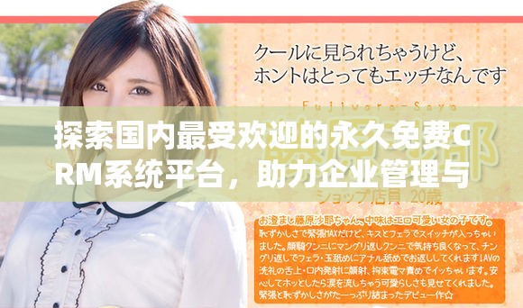 探索国内最受欢迎的永久免费CRM系统平台，助力企业管理与发展