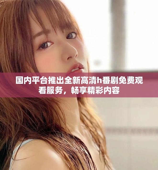 国内平台推出全新高清h番剧免费观看服务，畅享精彩内容