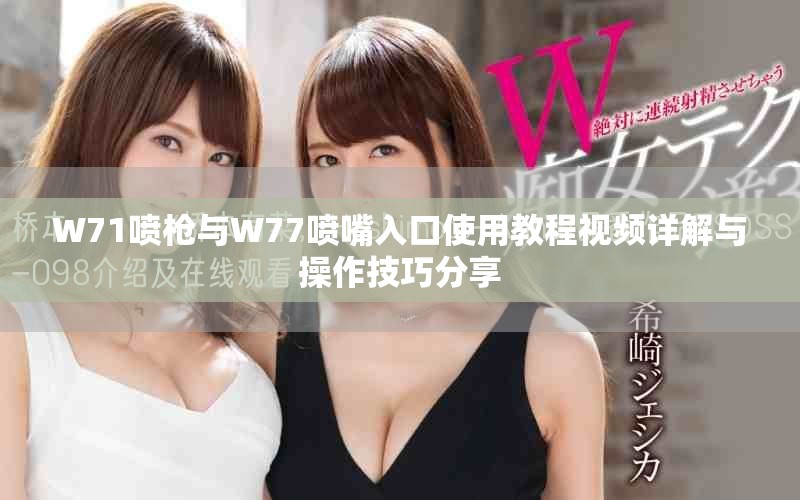 W71喷枪与W77喷嘴入口使用教程视频详解与操作技巧分享