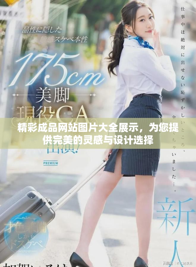 精彩成品网站图片大全展示，为您提供完美的灵感与设计选择