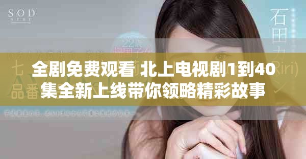 全剧免费观看 北上电视剧1到40集全新上线带你领略精彩故事