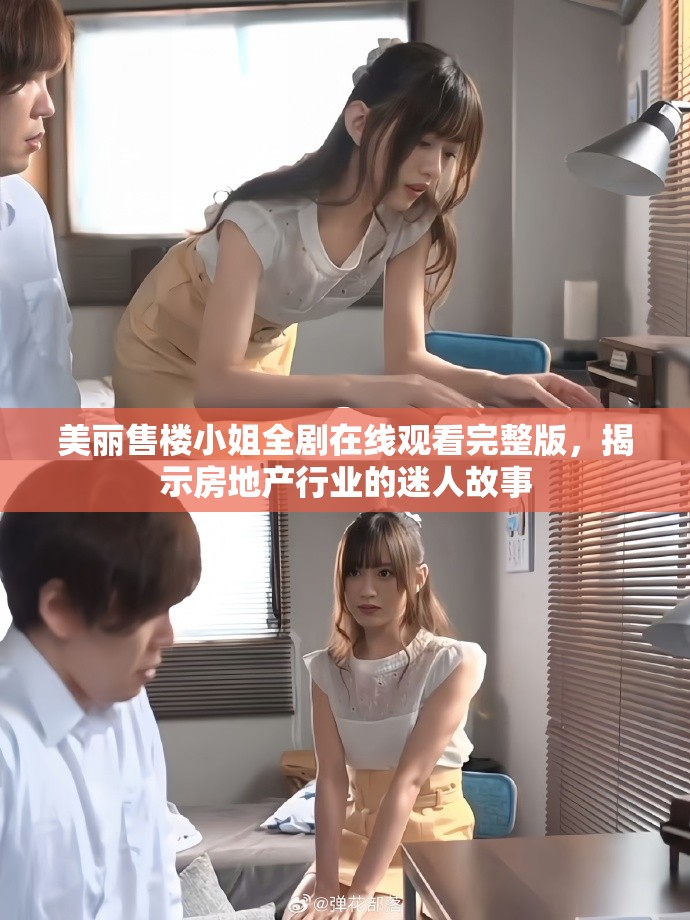 美丽售楼小姐全剧在线观看完整版，揭示房地产行业的迷人故事