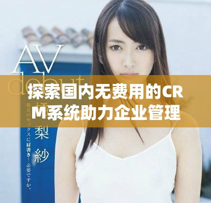 探索国内无费用的CRM系统助力企业管理提升