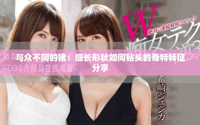 与众不同的猪：细长形状如同钻头的奇特特征分享