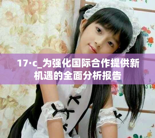17·c_为强化国际合作提供新机遇的全面分析报告