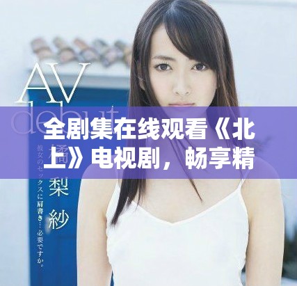 全剧集在线观看《北上》电视剧，畅享精彩剧情与人物故事