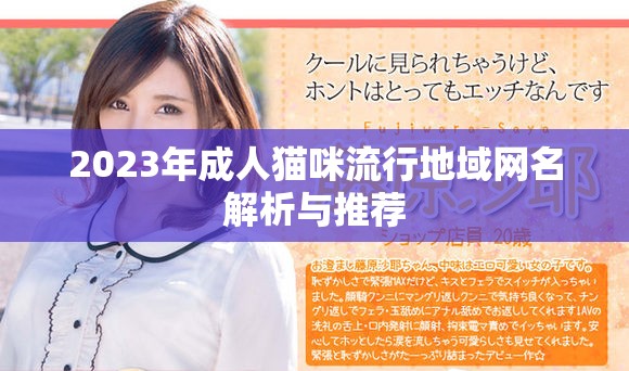 2023年成人猫咪流行地域网名解析与推荐