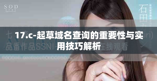 17.c-起草域名查询的重要性与实用技巧解析
