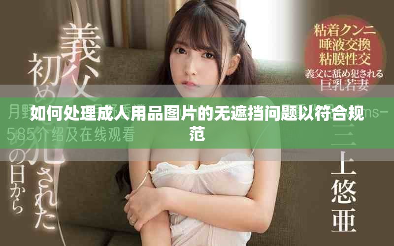 如何处理成人用品图片的无遮挡问题以符合规范