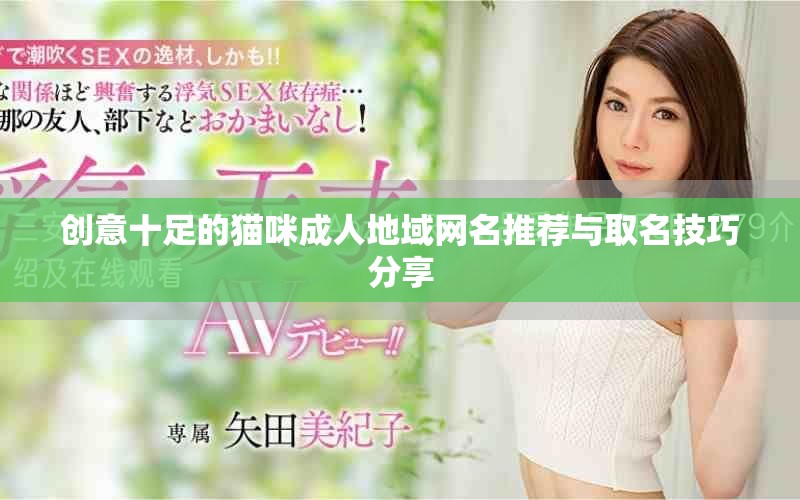 创意十足的猫咪成人地域网名推荐与取名技巧分享