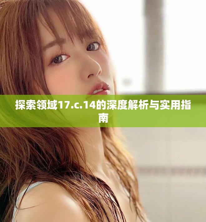 探索领域17.c.14的深度解析与实用指南