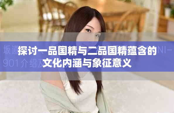 探讨一品国精与二品国精蕴含的文化内涵与象征意义