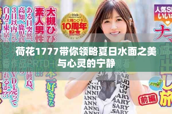 荷花1777带你领略夏日水面之美与心灵的宁静