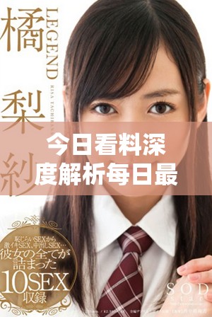 今日看料深度解析每日最新信息与动态更新