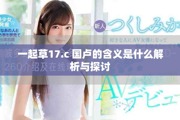 一起草17.c 国卢的含义是什么解析与探讨