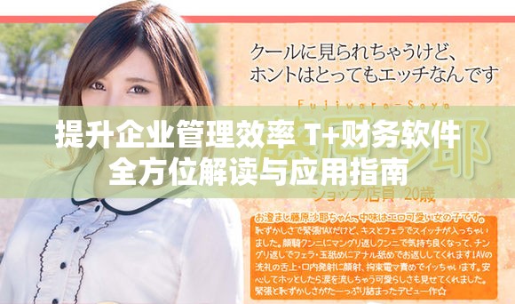 提升企业管理效率 T+财务软件全方位解读与应用指南