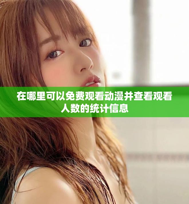 在哪里可以免费观看动漫并查看观看人数的统计信息