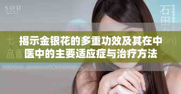 揭示金银花的多重功效及其在中医中的主要适应症与治疗方法
